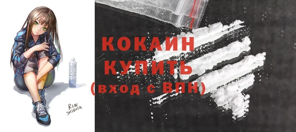 шишки Каменногорск