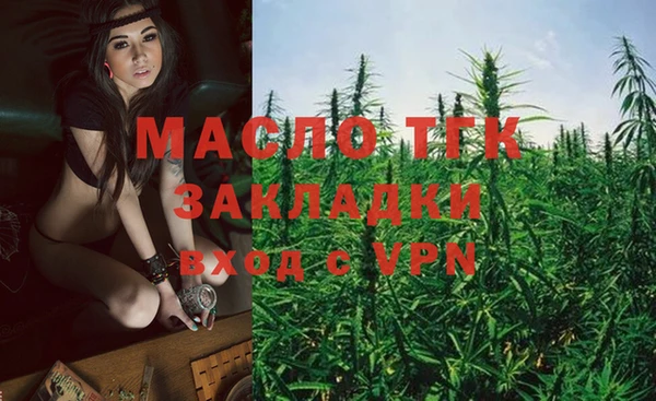 шишки Каменногорск