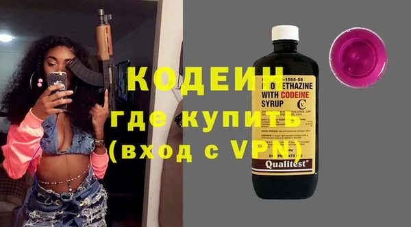 шишки Каменногорск