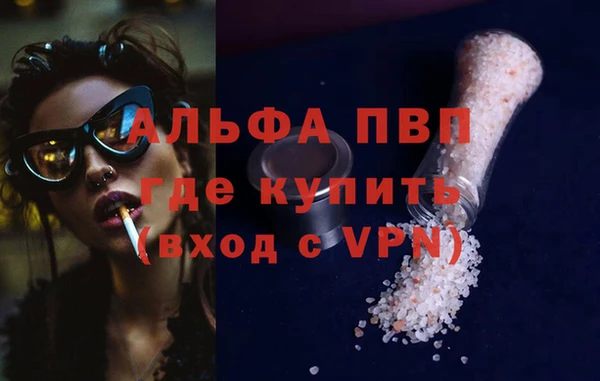 шишки Каменногорск