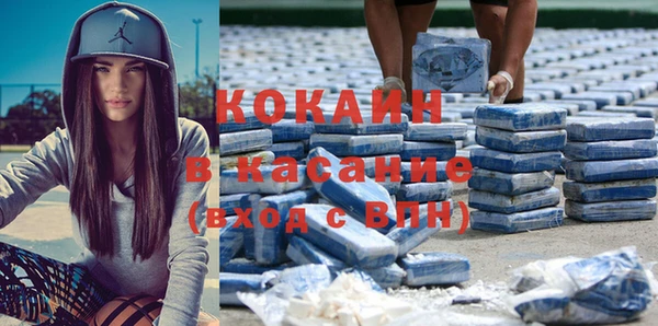 шишки Каменногорск