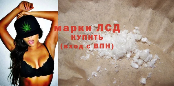 шишки Каменногорск