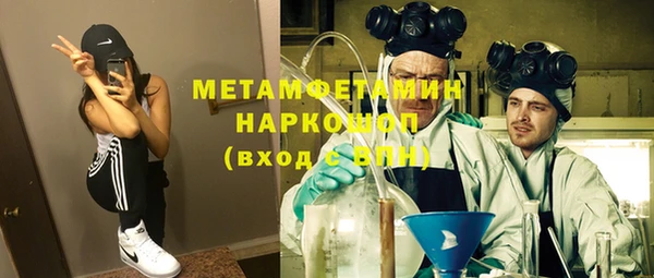 шишки Каменногорск