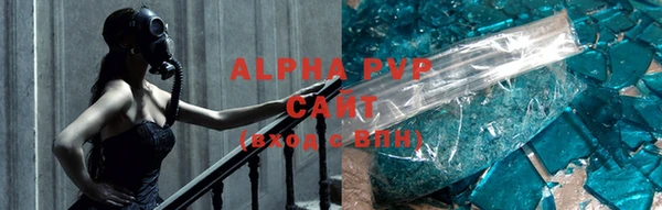 шишки Каменногорск