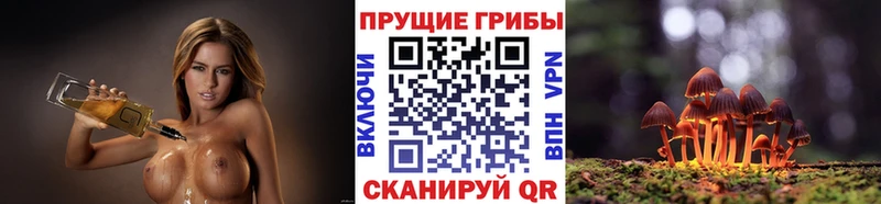 Галлюциногенные грибы Psilocybine cubensis  Купить закладки  Онега 