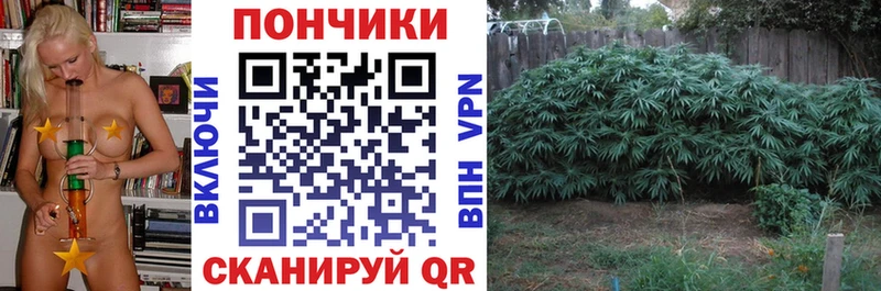 Купить где  Онега  Конопля Amnesia 